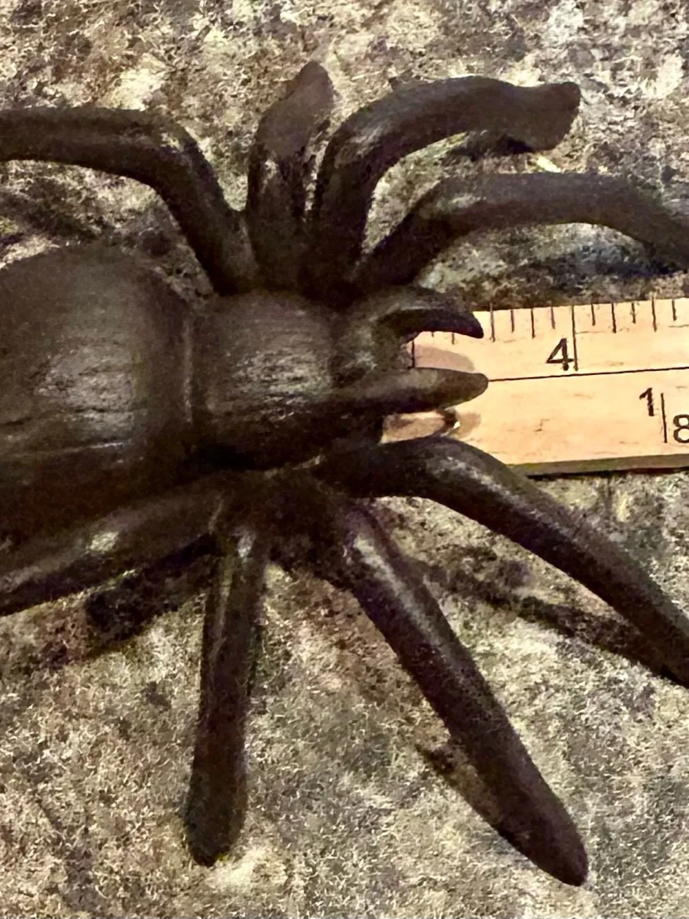 Black Spider Terrarium Enrichment Ornament for Reptiles